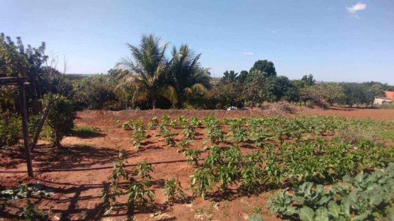 Vende-se esta bela chácara no Município de Iacri-SP