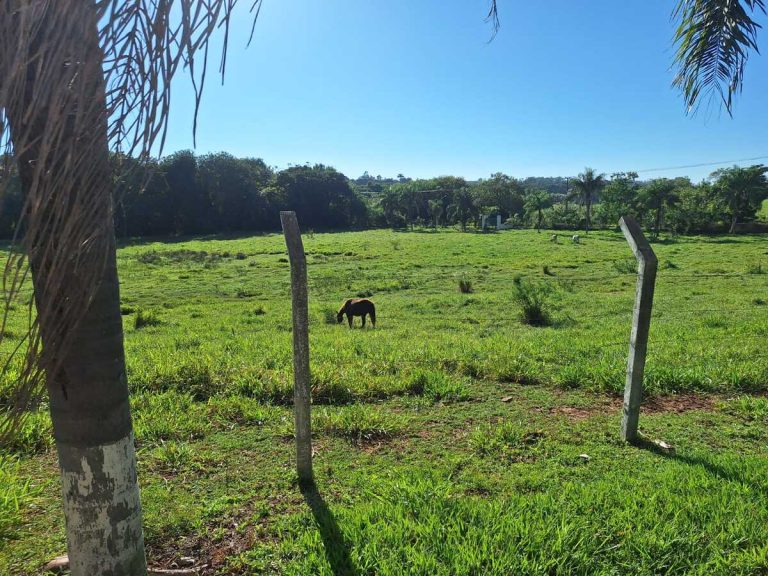 Vende-se chácara de alto padrão em Lucélia-SP